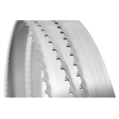 CrN Finishing Mahogany Grinding Carbide Band Saw Blade para el corte de madera